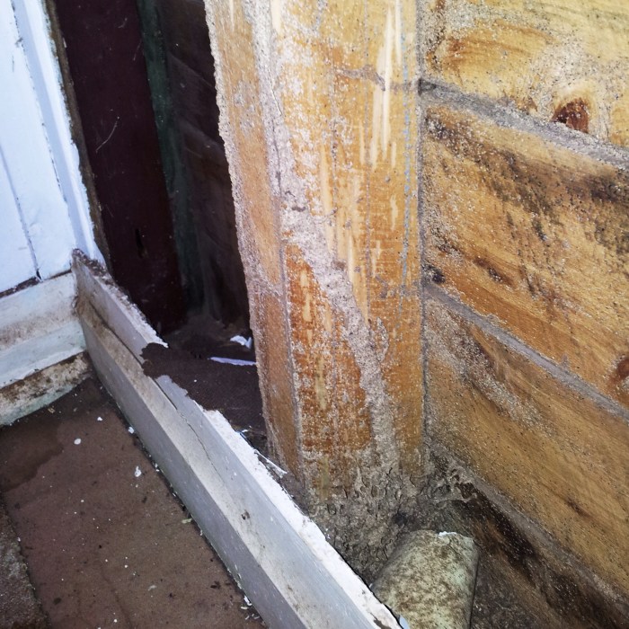 Termite resistant siding